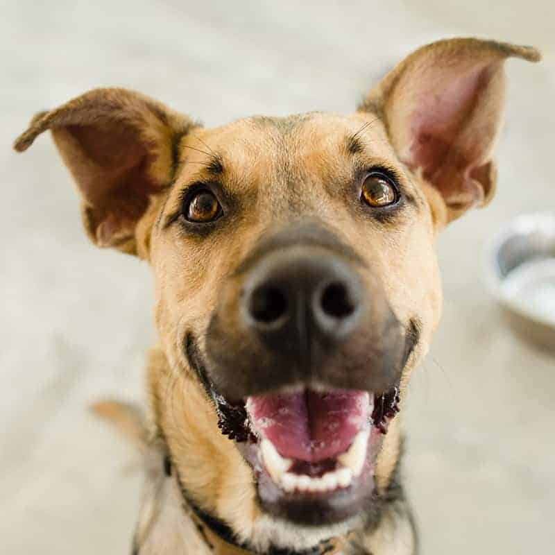 Diagnostics Diagnostics