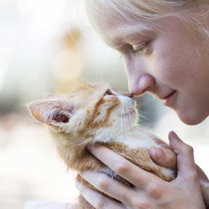 Drop Off Authorization