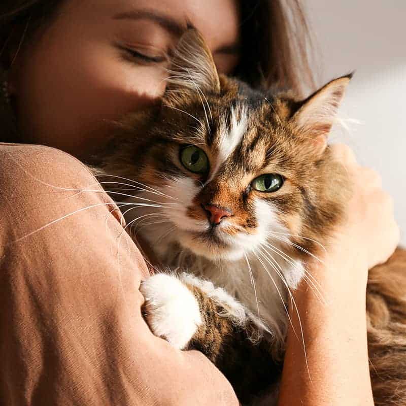 Laser Therapy Laser Therapy