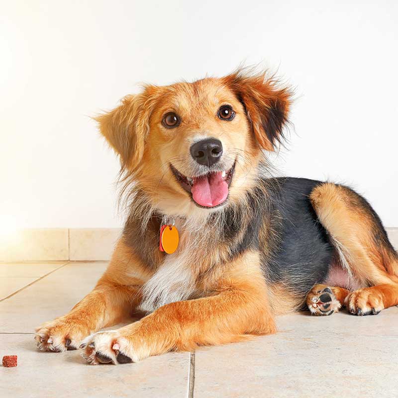 Non-staffed Hours New Client