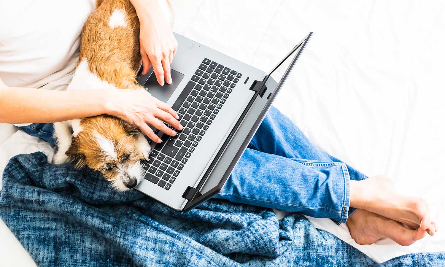 A person on the computer with their dog
